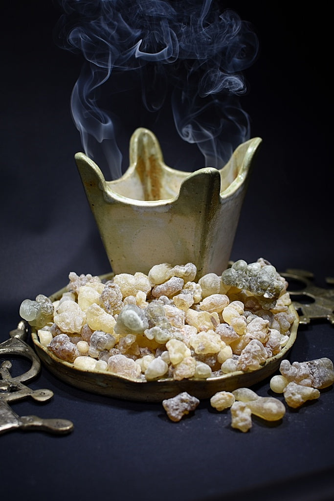 Frankincense, the secret guarded by 'winged snakes': The prized resin from  the Middle East